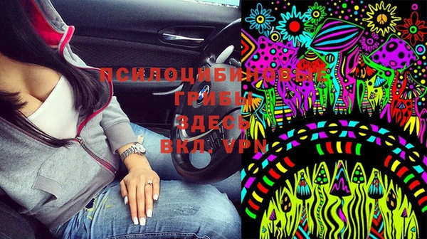 Альфа ПВП Горно-Алтайск
