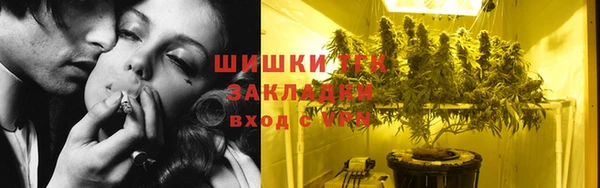 ешки Горняк