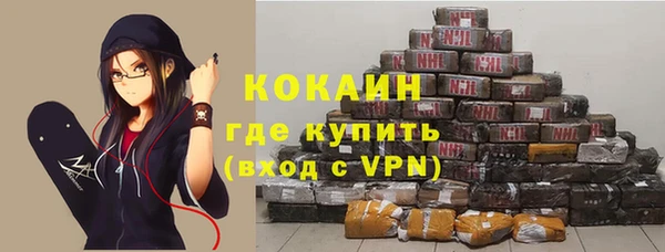 ешки Горняк