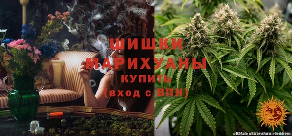 apvp Горнозаводск