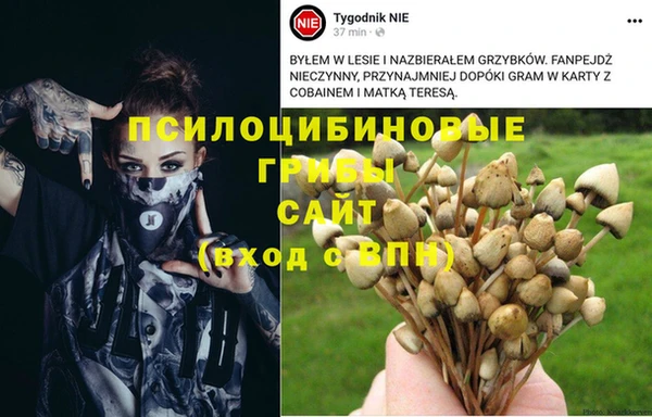 apvp Горнозаводск