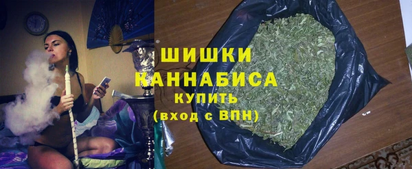 apvp Горнозаводск