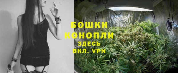 ешки Горняк