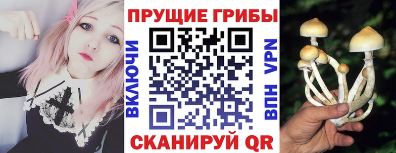 кракен онион Нефтеюганск Галлюциногенные грибы MAGIC MUSHROOMS где купить наркоту